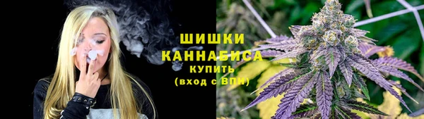 тгк Володарск