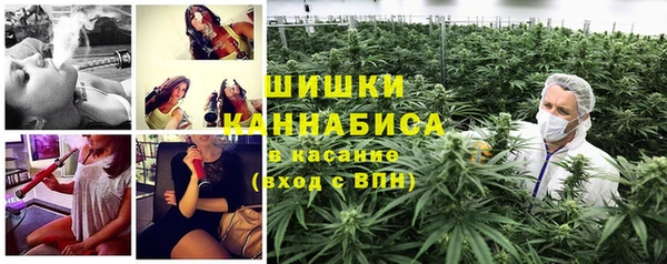 тгк Володарск