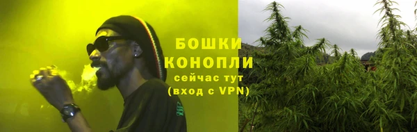 тгк Володарск