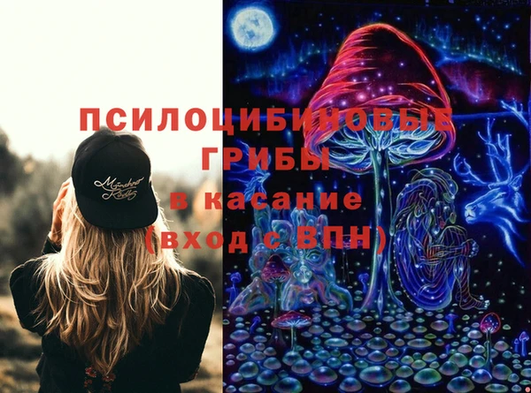 тгк Володарск