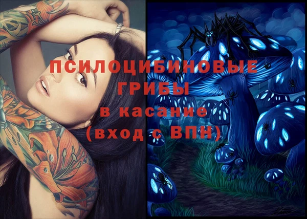 тгк Володарск