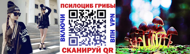 Галлюциногенные грибы Psilocybe  Купить закладки  Кораблино 